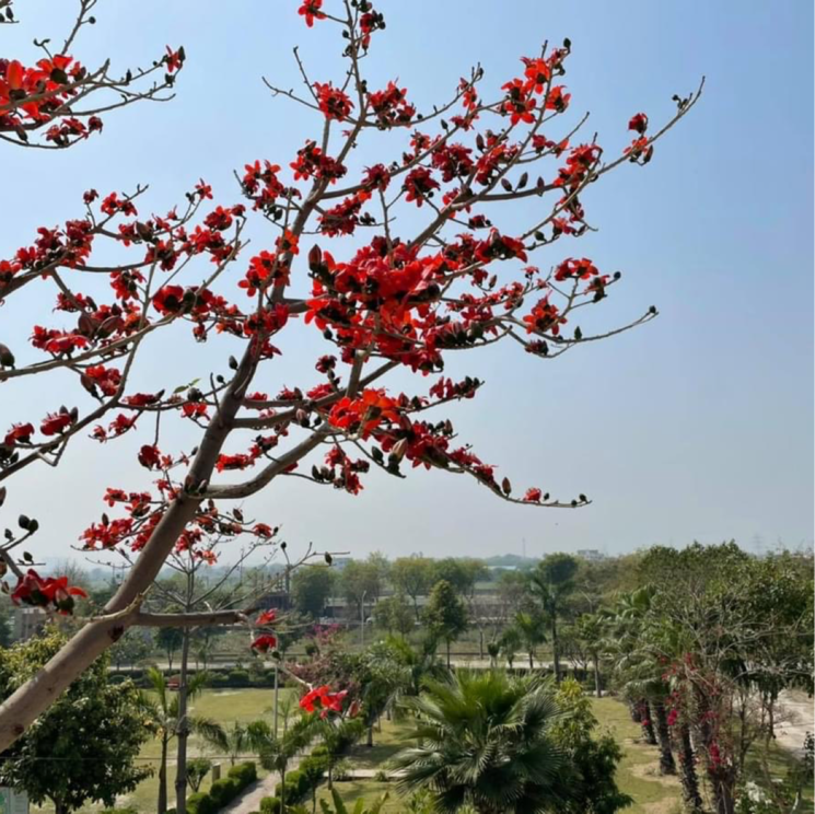 Map Location, zestha-bhagirath-vihar-residency  250 Sq.Yd. Plot In Sector 27 Yamuna Expressway Greater Noida 8773562