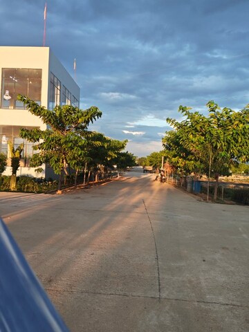  Plot – Exterior View View at Renigunta - for Sale