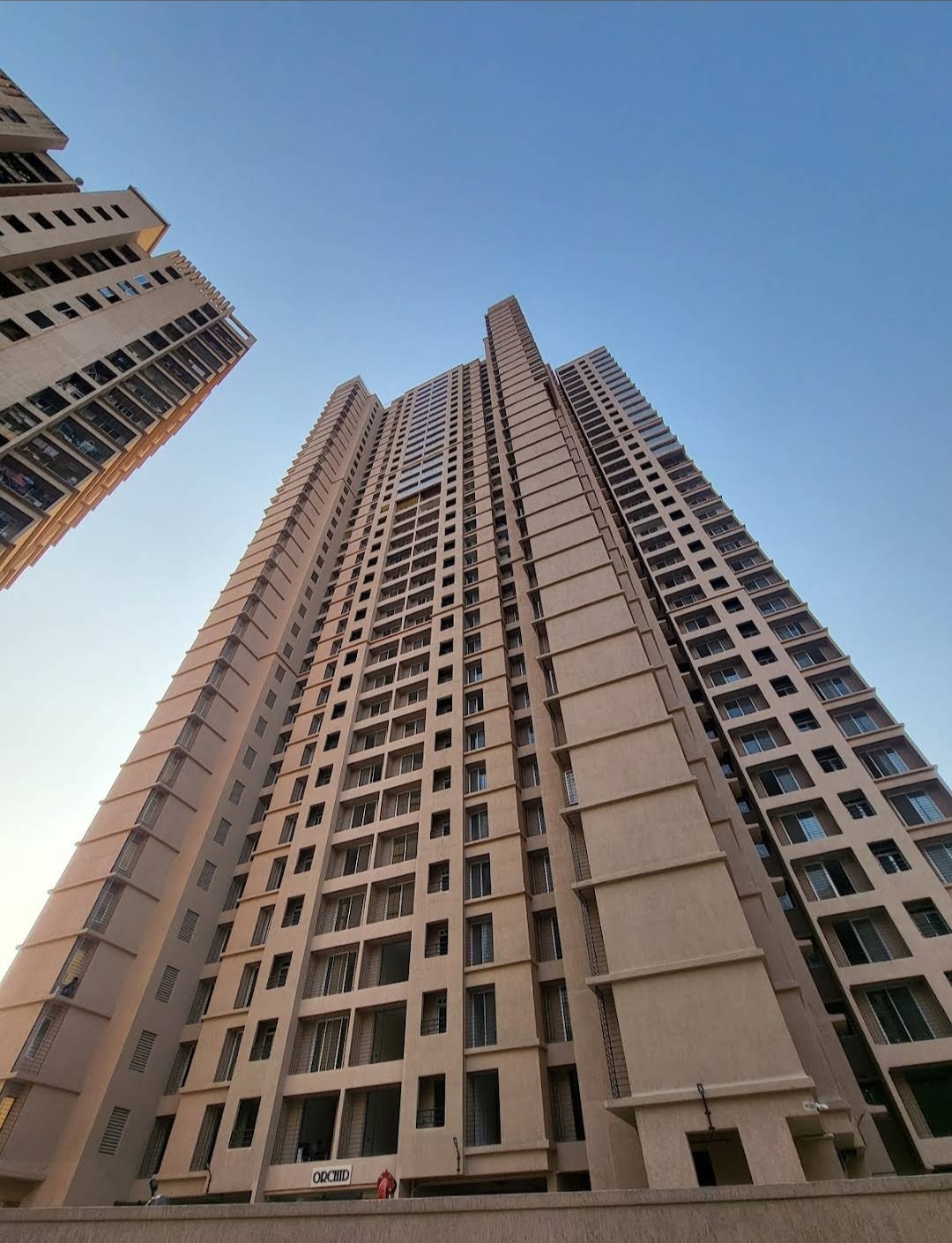 1 BHK Apartment For Rent in Damji Shamji Mahavir Kalpavruksha Wing J Phase 2