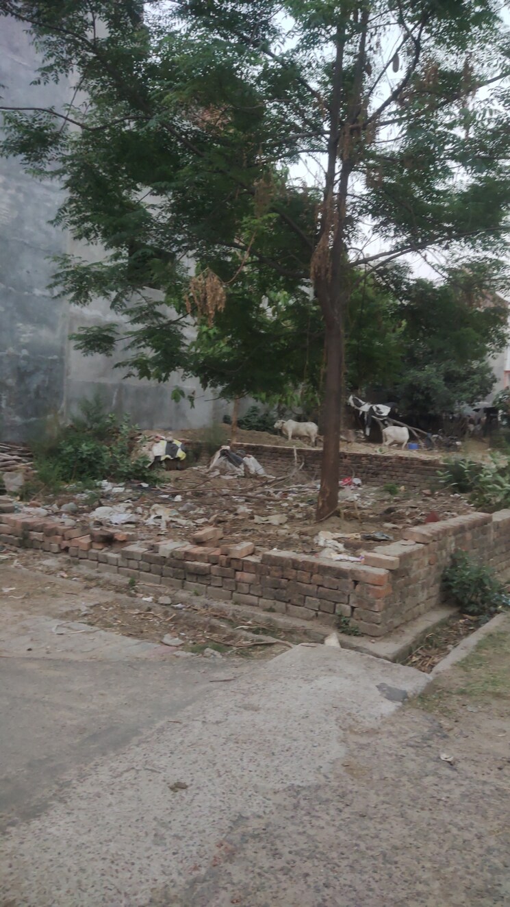 Garden, gomti nagar  1600 Sq.Ft. Plot In Gomti Nagar Lucknow 8774011