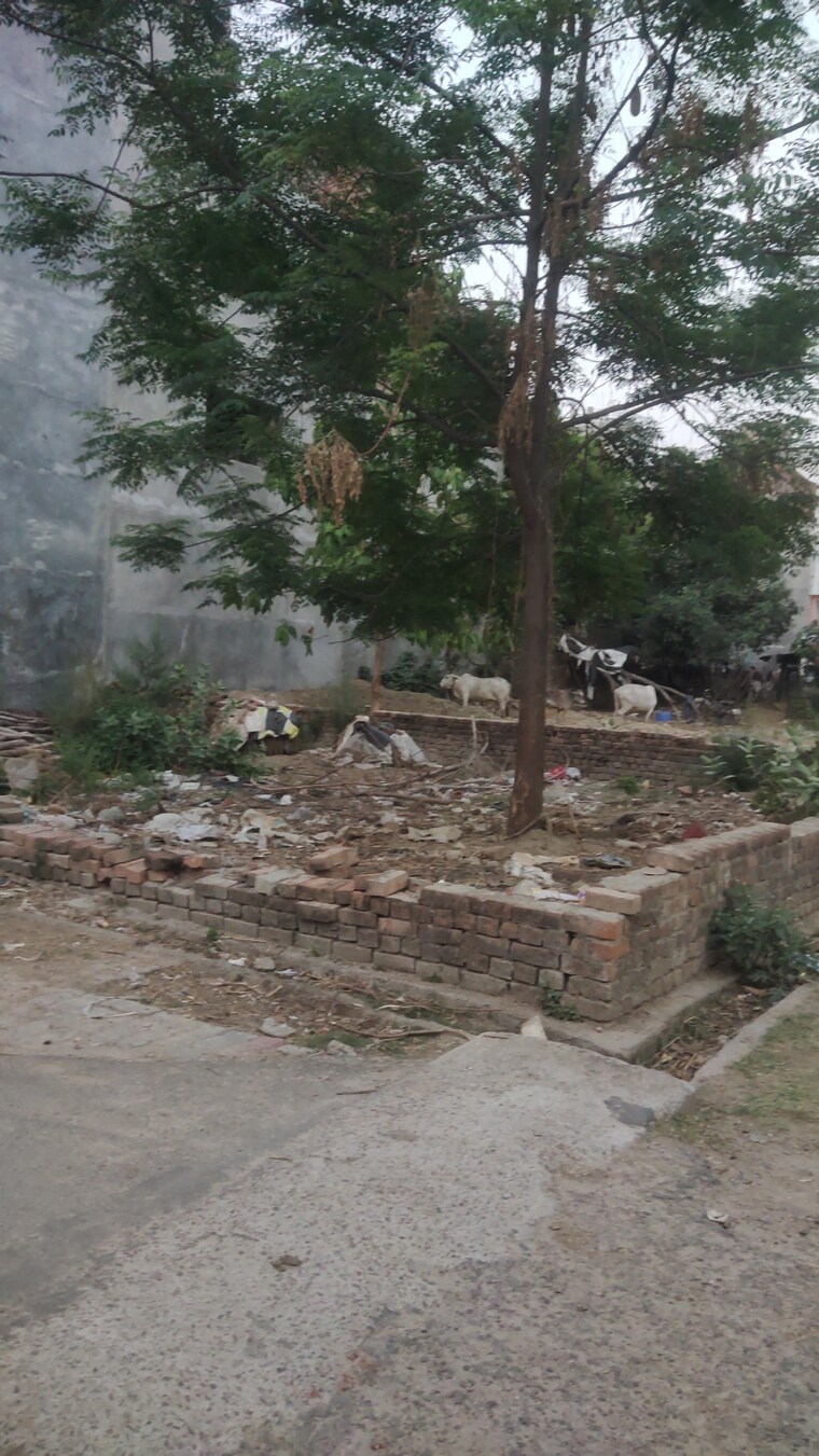 Garden, gomti nagar  1600 Sq.Ft. Plot In Gomti Nagar Lucknow 8774011