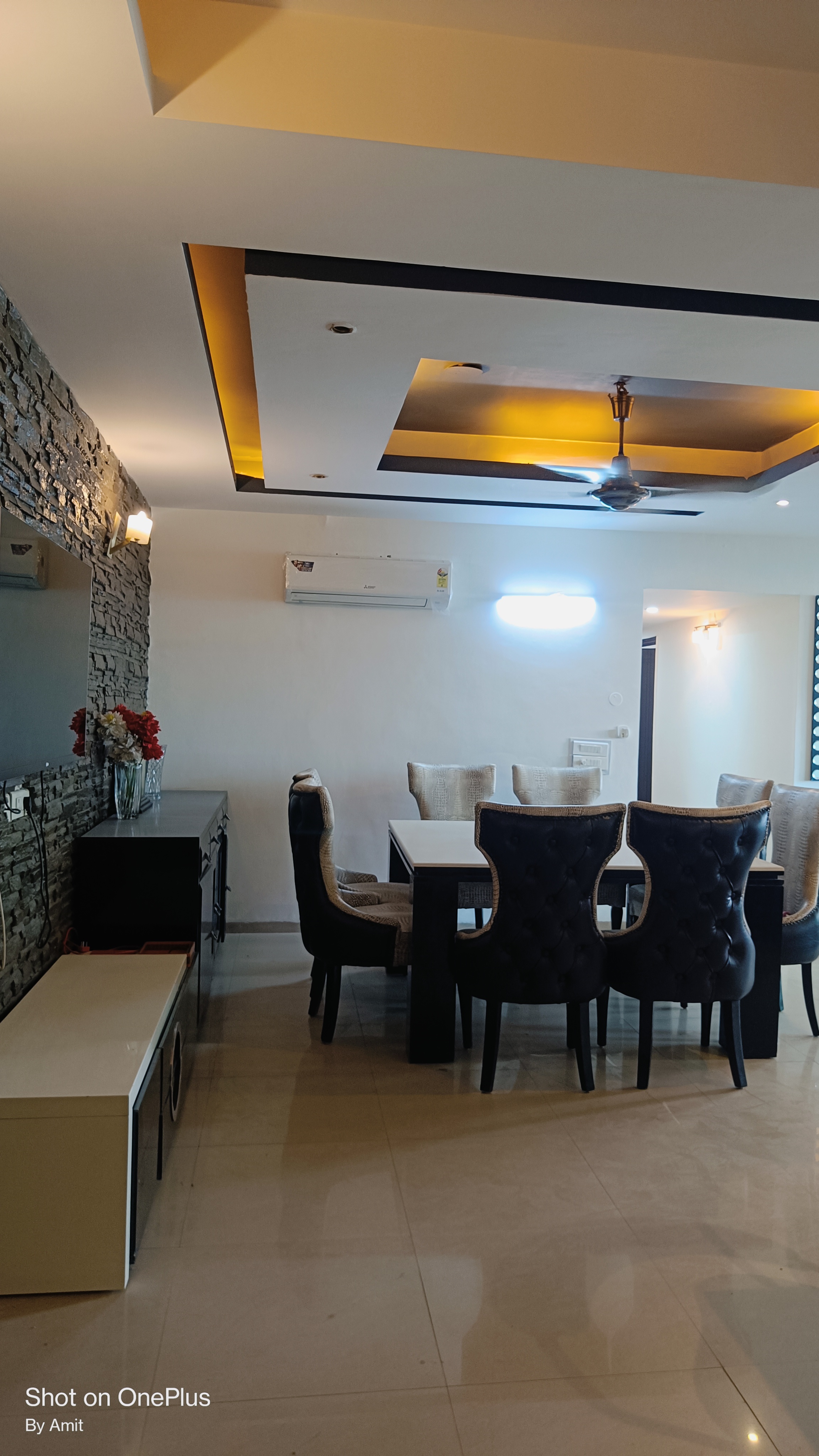 3 BHK + Servant Room Apartment For Rent in Omaxe Twin Towers
