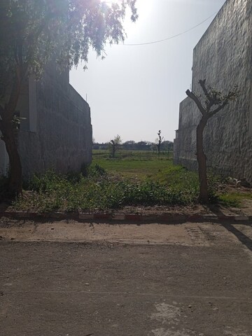 Plot Area in  Plot at Sector 111 – for Sale