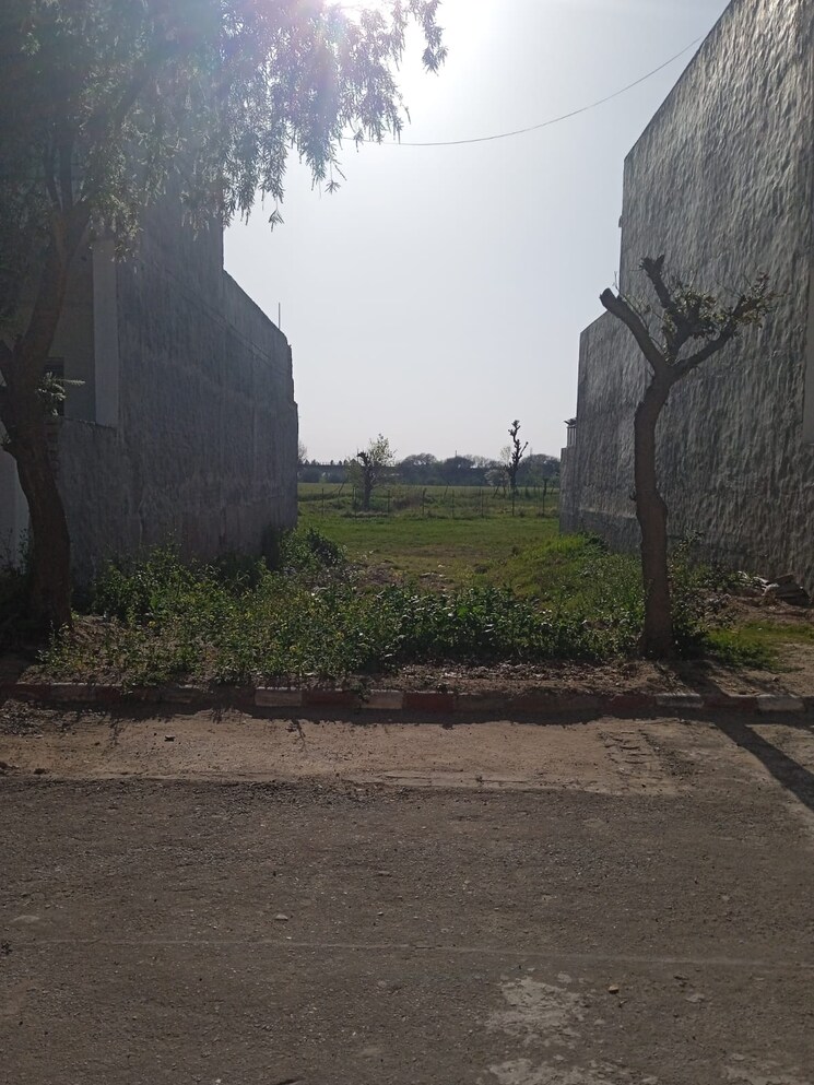 undefined, sector 111  250 Sq.Yd. Plot In Sector 111 Mohali 8774225
