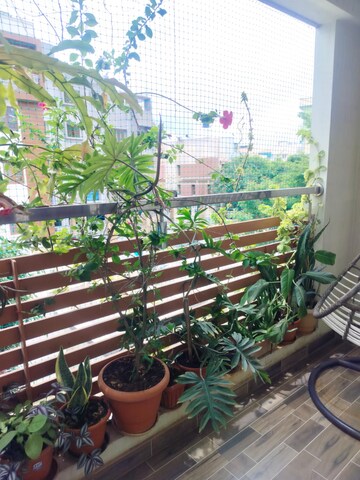 Staircase in 3 BHK Apartment at 5 Elements GR Luxuria, Hsr Layout – for Rent
