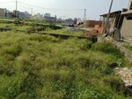 100 Sq.Yd. Plot in PVD Mansarovar Park