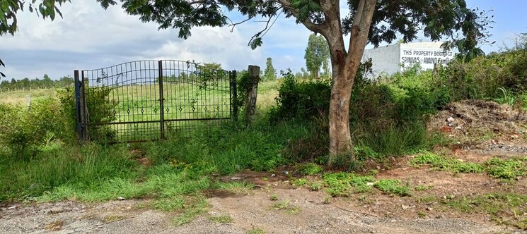 Master Bedroom, ombr layout 3 Bedroom 2400 Sq.Ft. Independent House In Ombr Layout Bangalore 8774516