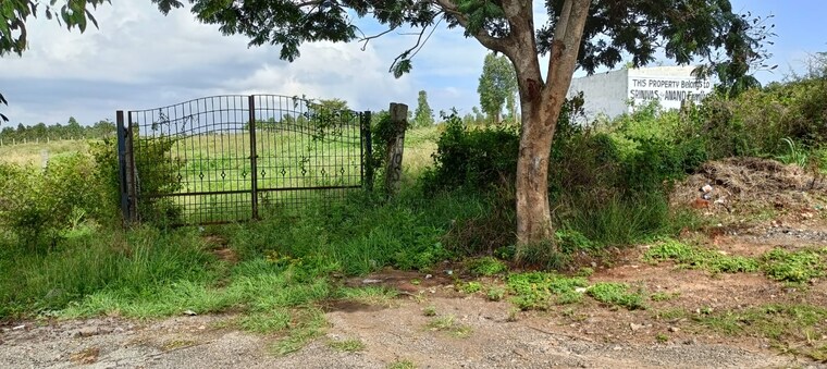 Master Bedroom, ombr layout 3 Bedroom 2400 Sq.Ft. Independent House In Ombr Layout Bangalore 8774516