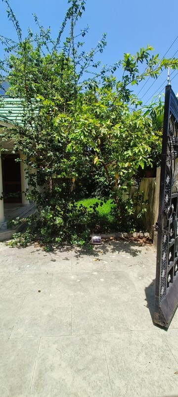 3 BHK Villa – Exterior View View at Balliwala - for Sale
