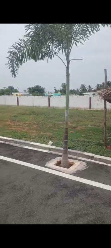  Plot – Exterior View View at Ariyanoor - for Sale