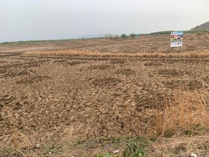 Plot Area in  Plot at Uran – for Sale