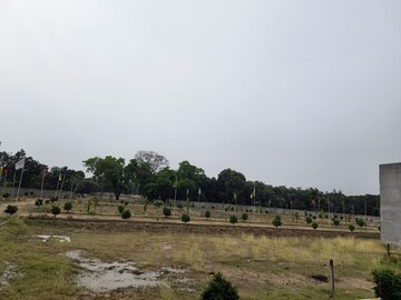 Plot Area in  Plot at Gosainganj – for Sale