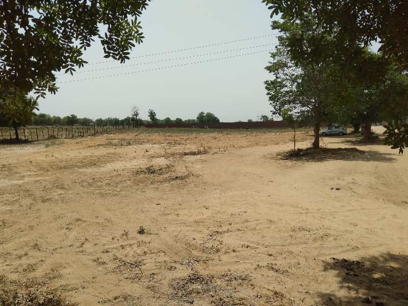 Plot For Sale in Anant Raj Ashok Estate