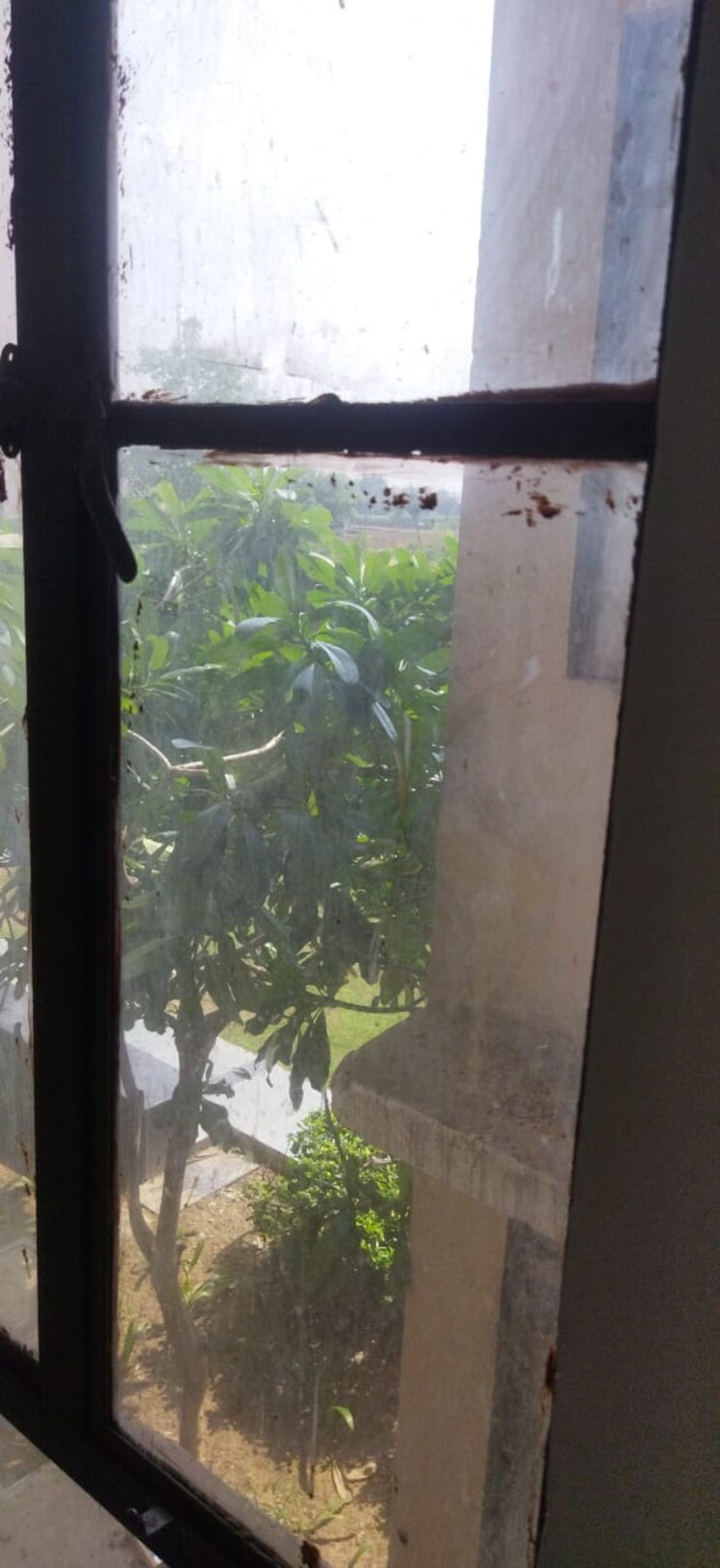 Swimming Pool, signature-global-synera 2 Bedroom 523 Sq.Ft. Apartment In Sector 81 Gurgaon 8774847