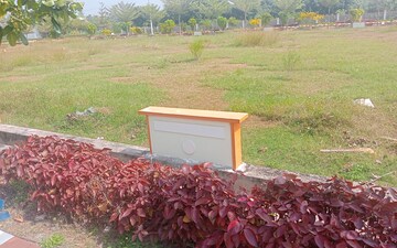 Plot For Sale in Ayyannapeta