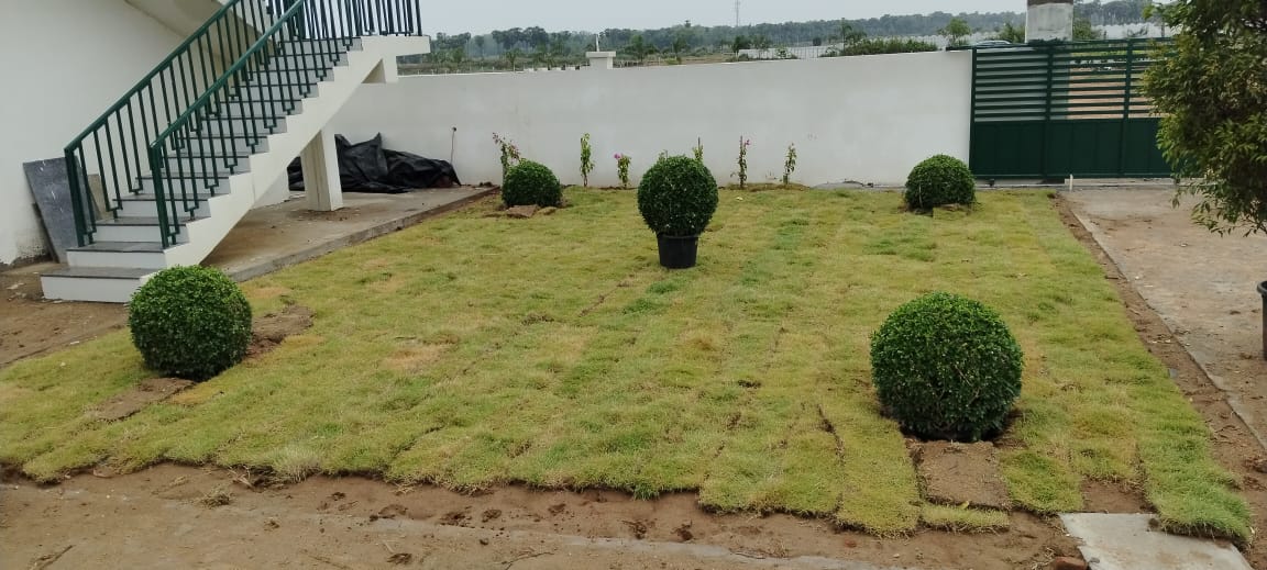 Plot For Sale in Bhogapuram Real Estates 