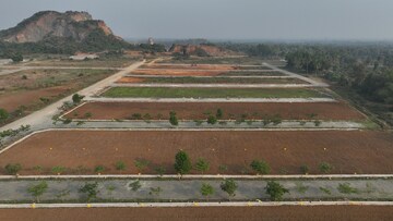  Plot For Sale in Kothavalasa