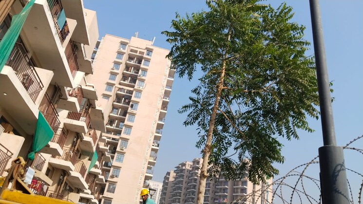 Exterior View, signature-global-synera 2 Bedroom 598 Sq.Ft. Apartment In Sector 81 Gurgaon 8775068