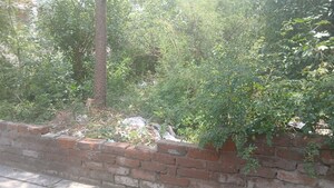  Plot For Sale in RWA Apartments Sector 50, Sector 50