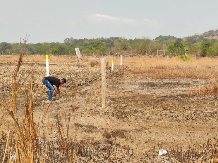 undefined, chirle  1099 Sq.Ft. Plot In Chirle Navi Mumbai 8775148