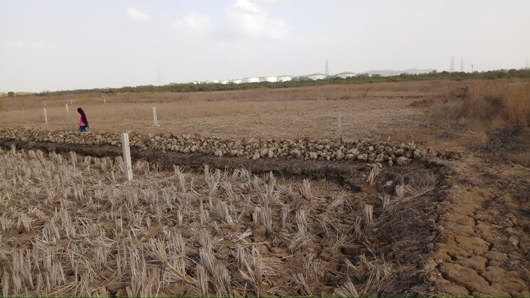 undefined, chirle  1099 Sq.Ft. Plot In Chirle Navi Mumbai 8775148