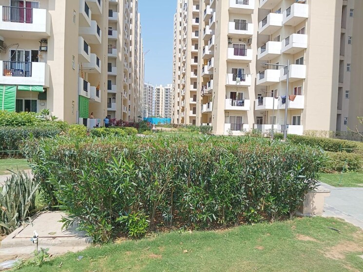 Exterior View, gls-arawali-homes 2 Bedroom 576 Sq.Ft. Apartment In Sohna Sector 4 Gurgaon 8775215