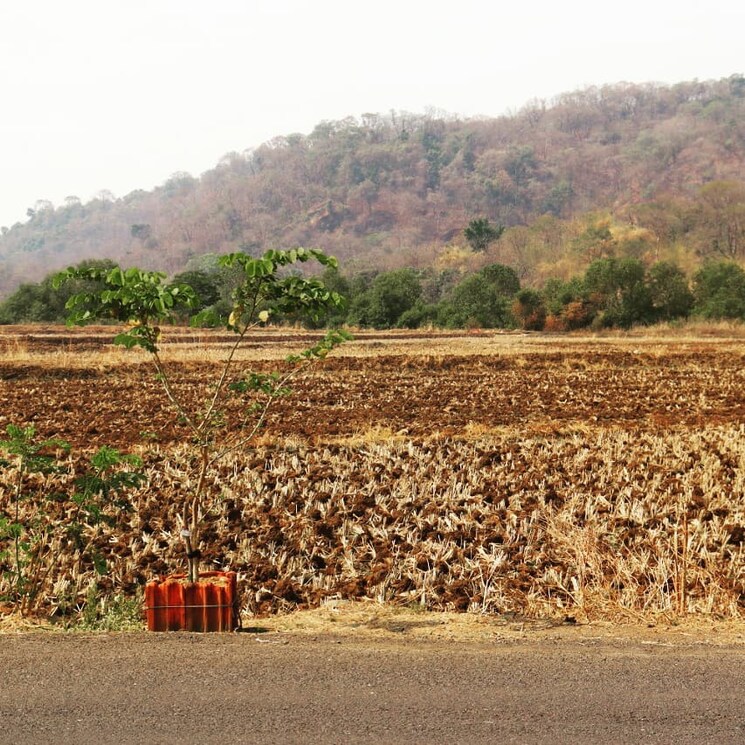 undefined, vindhane  1089 Sq.Ft. Plot In Vindhane Navi Mumbai 8775218