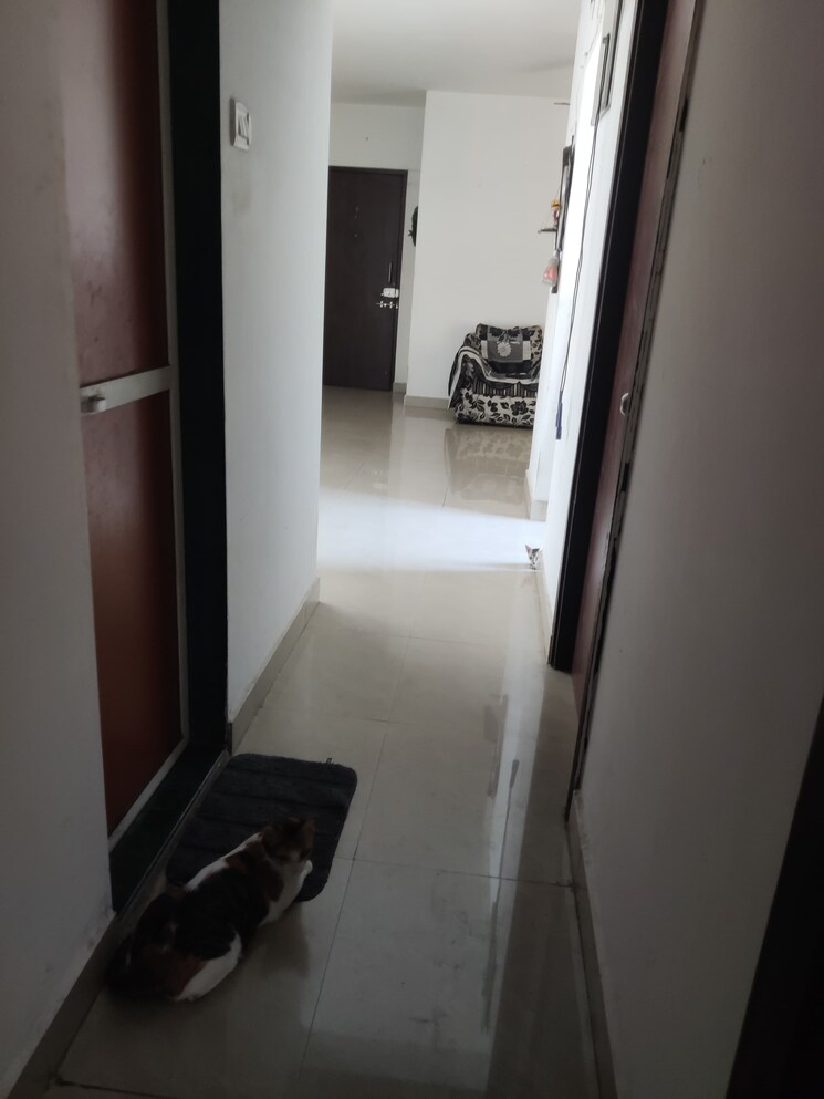 undefined, db-orchid-ozone 2 Bedroom 680 Sq.Ft. Apartment In Dahisar East Mumbai 8775293