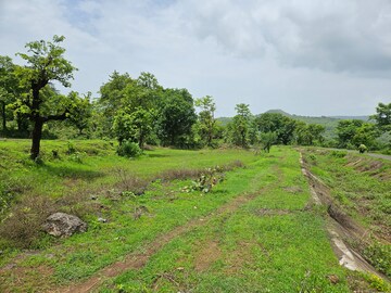 Plot Area in  Land at Mangaon – for Sale