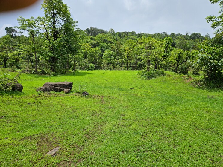 Garden, mangaon Commercial Land 30 Acre In Mangaon Raigad 8775348