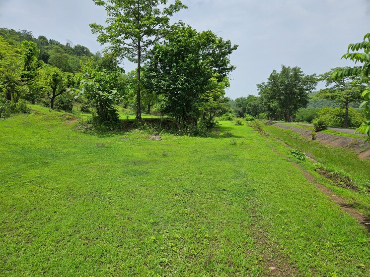Garden, mangaon Commercial Land 30 Acre In Mangaon Raigad 8775348