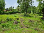 30 Acre Land in Mangaon