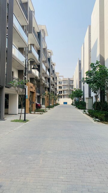 3 BHK Apartment For Rent in Smart World Gems, Sector 89