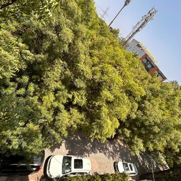 4 BHK Builder Floor – Exterior View View at Vasant Kunj - for Sale