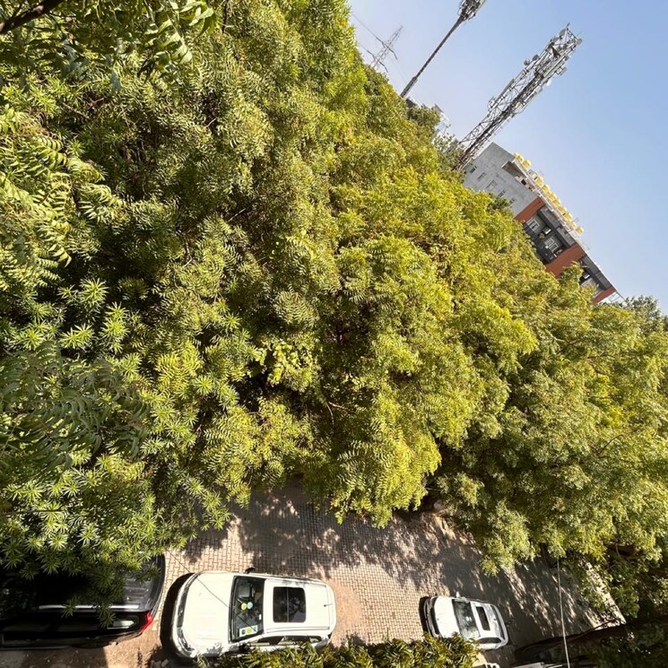 Exterior View, vasant kunj 4 Bedroom 1800 Sq.Ft. Builder Floor In Vasant Kunj Delhi 8775441