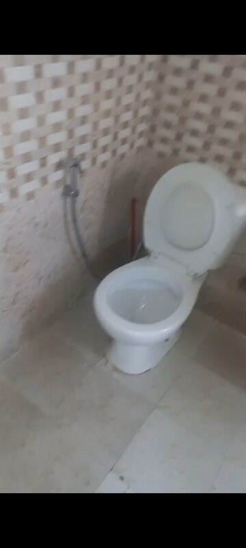 2 BHK Apartment For Rent in Saviour Green Arch, Tech Zone 4 Greater Noida