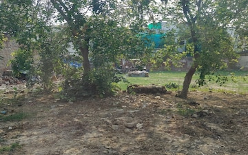 Plot For Sale in Sector 11