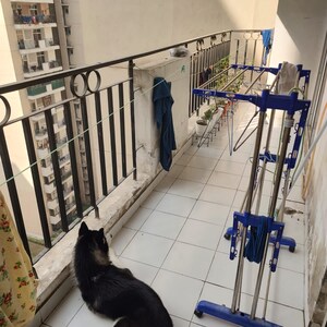 Staircase in 2 BHK Apartment at Nirala Aspire, Panchsheel Green – for Sale