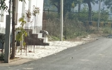 Plot For Sale in RWA Apartments Sector 71, Sector 71