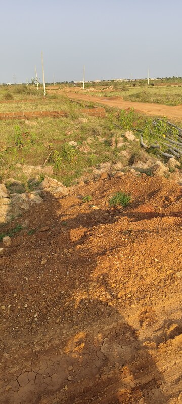 Plot Area in  Plot at Patrapada – for Sale