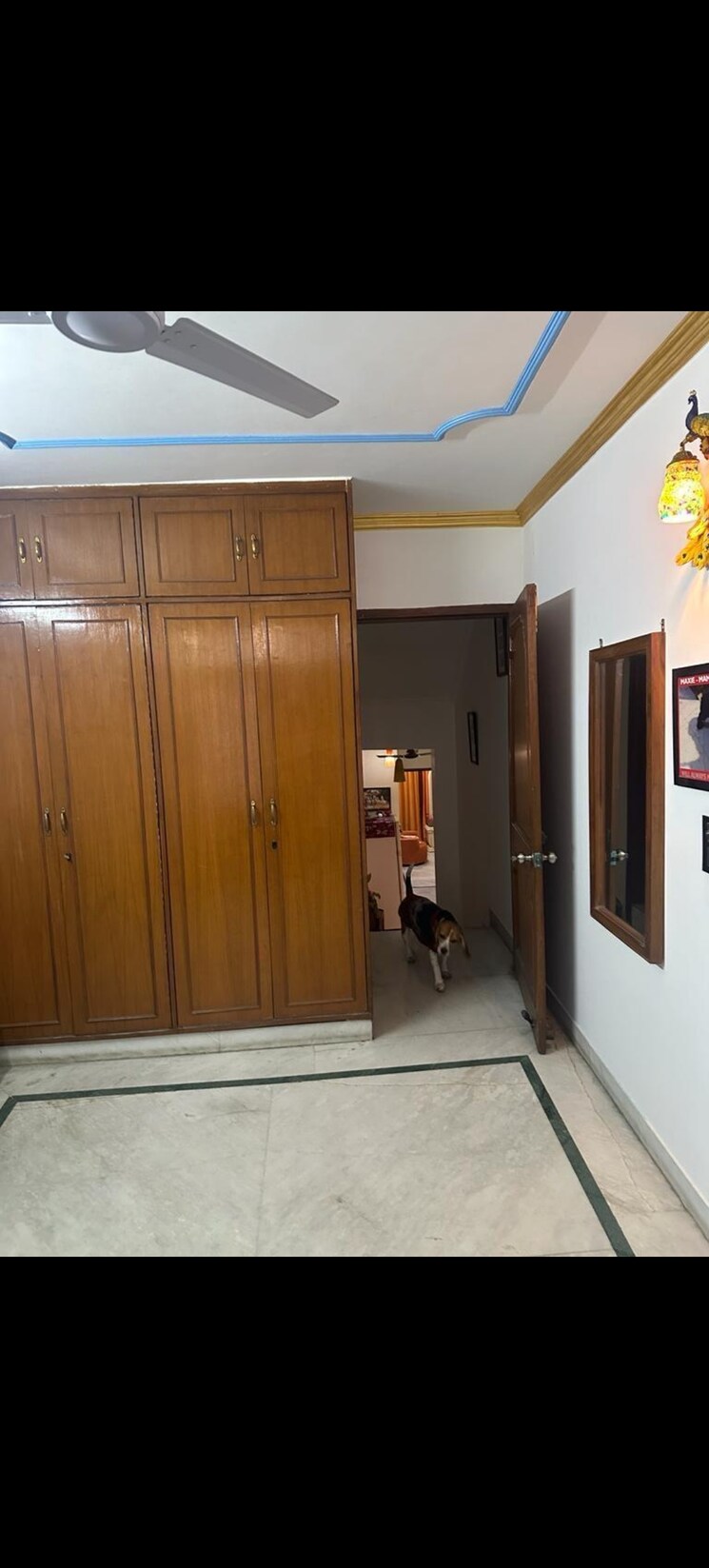Room, greater kailash 3 Bedroom 1800 Sq.Ft. Builder Floor In Greater Kailash Delhi 8775646