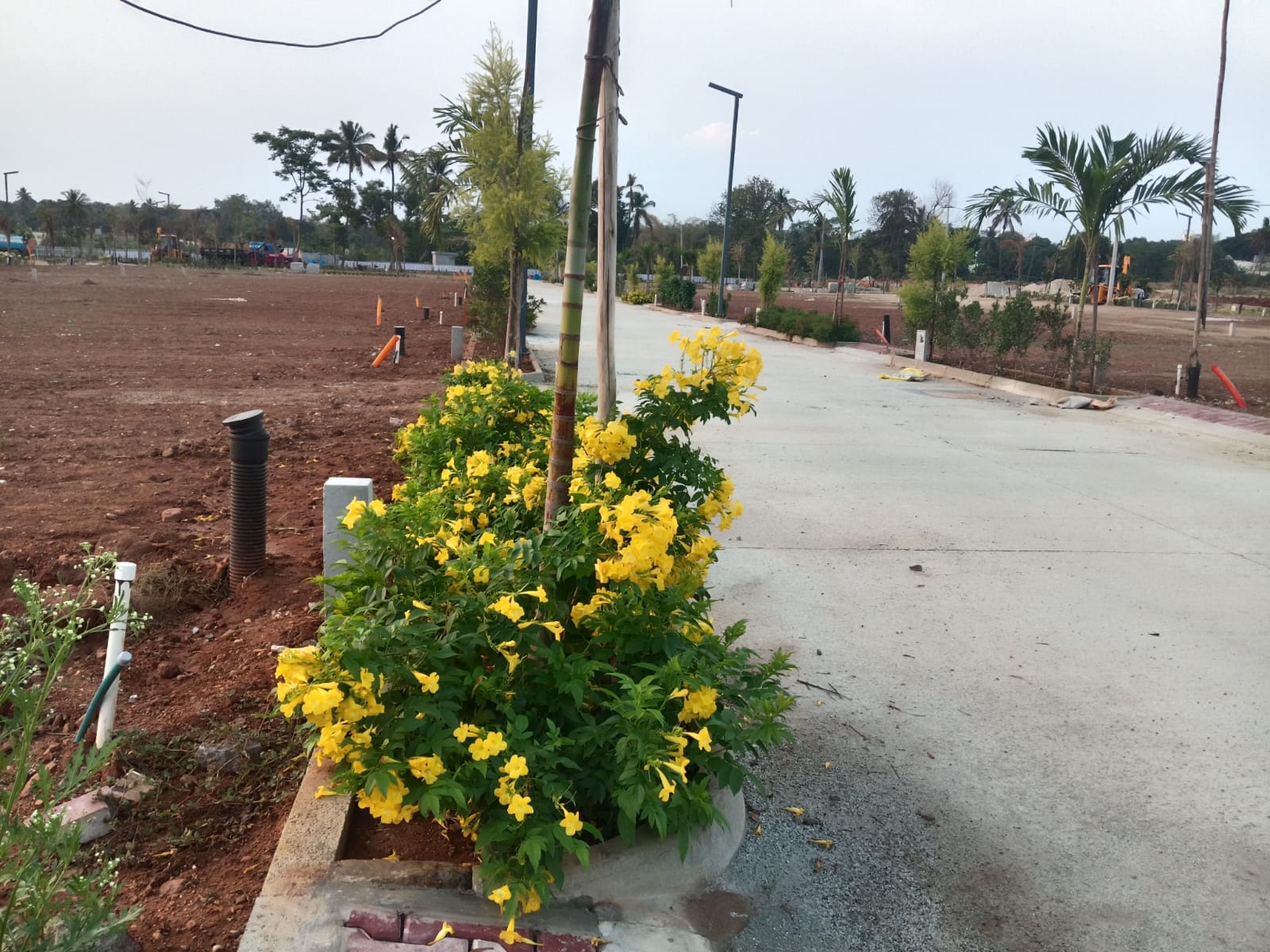 Plot For Sale in Oraiyan Mannat 