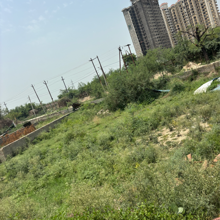 Exterior View, sector 25 yamuna expressway  100 Sq.Yd. Plot In Sector 25 Yamuna Expressway Greater Noida 8776191