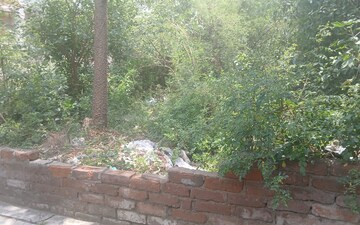 Plot For Sale in Sector 145