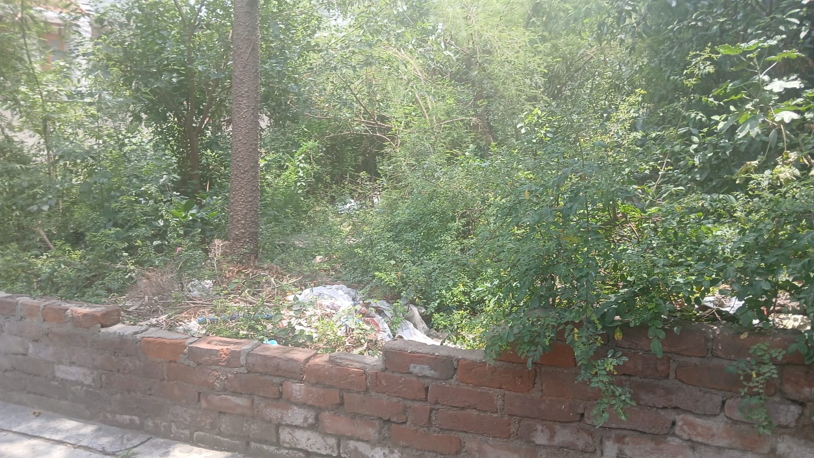 Plot For Sale in Residential Apartment