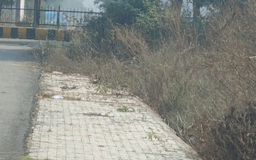 Plot For Sale in Residential Apartment, Sector 151