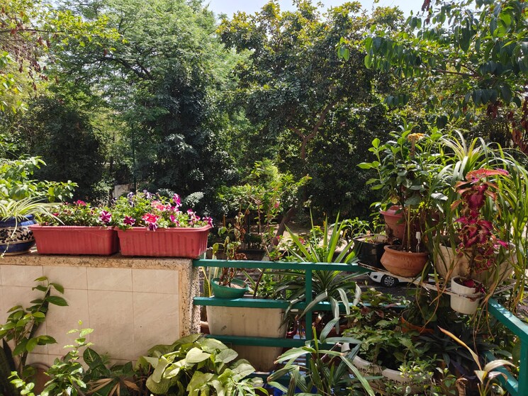 Garden, ardee-city 3 Bedroom 240 Sq.Yd. Builder Floor In Sector 52 Gurgaon 8777426