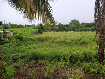 Plot Area in  Plot at Shirwal – for Sale