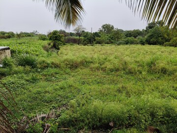 Plot Area in  Plot at Shirwal – for Sale