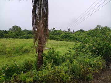  Plot – Garden View at Shirwal - for Sale